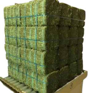 Alfalfa Hay