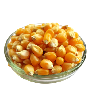 Yellow Corn